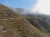 24 looking up trail.JPG (54042 bytes)
