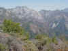 27 looking east.JPG (73022 bytes)