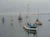 36 montery bay 2.JPG (36112 bytes)