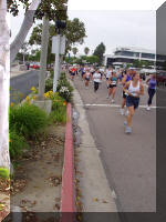 P8130183.jpg (256007 bytes)