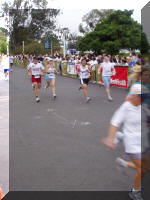 P8130186.jpg (206693 bytes)