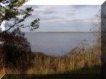 PB280205.jpg (105299 bytes)