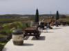 P3260155 lunch 2 at PS.jpg (98579 bytes)
