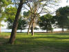 IMG_3771.jpg (322142 bytes)