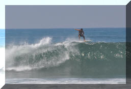 DSC_0375c.jpg (198559 bytes)