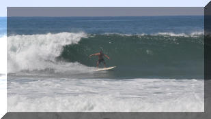 DSC_0381c.jpg (227616 bytes)