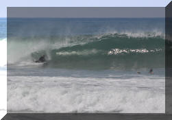 DSC_0395c.jpg (193815 bytes)