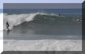 DSC_0399c.jpg (194145 bytes)