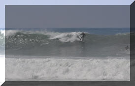 DSC_0402c.jpg (179939 bytes)