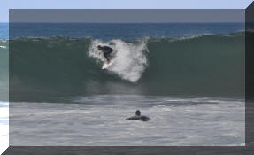 DSC_0404c.jpg (202772 bytes)