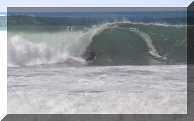 DSC_0412c.jpg (206621 bytes)