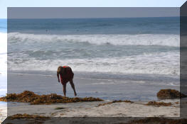 DSC_0416.jpg (256300 bytes)