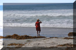 DSC_0417001.jpg (293789 bytes)