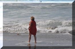 DSC_0419.jpg (229140 bytes)