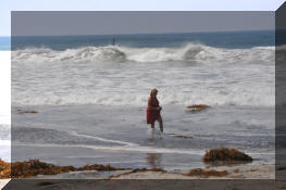 DSC_0421.jpg (230572 bytes)