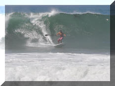 DSC_0427c.jpg (184205 bytes)