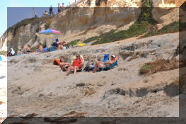 DSC_0429.jpg (436357 bytes)