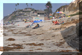 DSC_0431.jpg (392716 bytes)