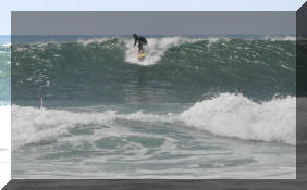 DSC_0434c.jpg (227148 bytes)