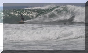 DSC_0436c.jpg (266056 bytes)