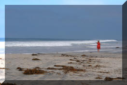 DSC_0442.jpg (200196 bytes)