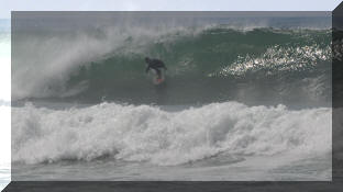 DSC_0443c.jpg (255671 bytes)