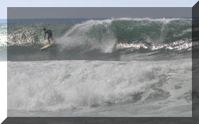 DSC_0446c.jpg (257327 bytes)