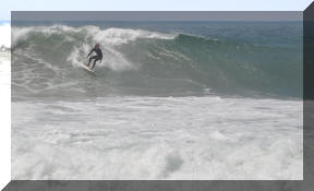 DSC_0449c.jpg (214244 bytes)