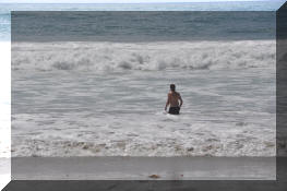 DSC_0451.jpg (273112 bytes)