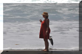 DSC_0455.jpg (176554 bytes)