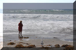 DSC_0457.jpg (268009 bytes)