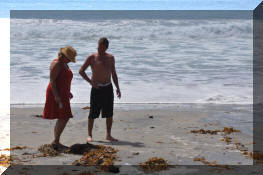 DSC_0459.jpg (264262 bytes)