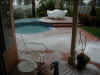 Back Yard.jpg (78429 bytes)