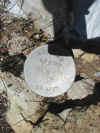 07 survey marker.JPG (105526 bytes)