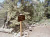 14 Cougar Cr Tr Sign.JPG (139333 bytes)