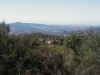101 Ocean View 3.JPG (83914 bytes)