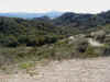 102 going down the tr.JPG (98022 bytes)