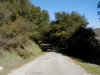 85 on rd to Ranch House.JPG (91515 bytes)