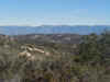 94 Palomar 2.JPG (79996 bytes)