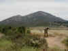 13 Iron Mtn from parking area.JPG (69160 bytes)